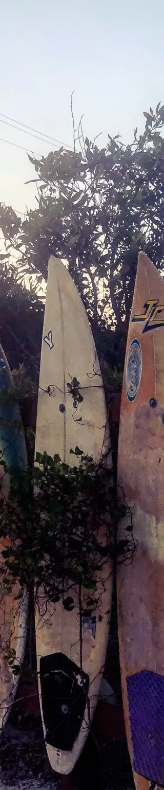 Lerne Surfen an Australiens Ostküste